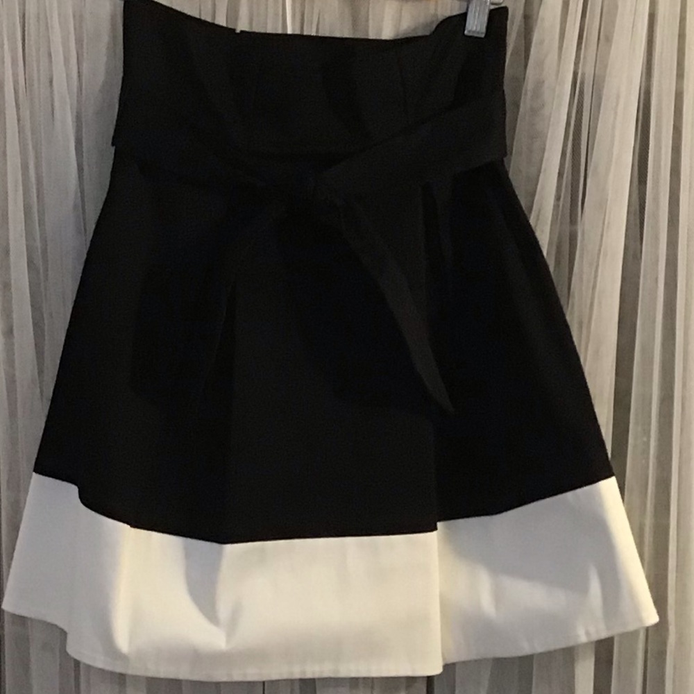 Color Block A-Line Skirt